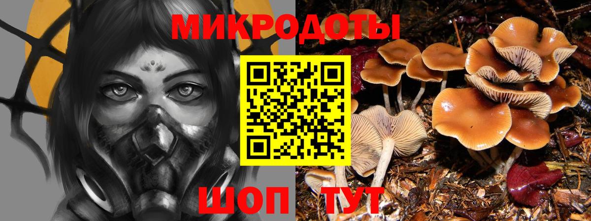 Заводоуковск  Псилоцибиновые грибы Magic Shrooms  Вход с VPN 