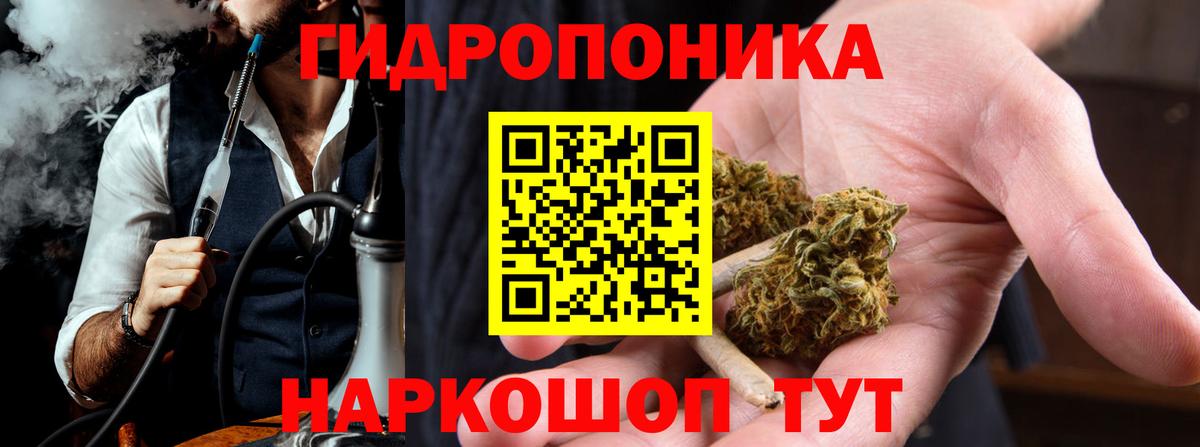Конопля ГИДРОПОН  Бошки Шишки Amnesia  Вход с VPN  Бошки марихуана марихуана  Заводоуковск 
